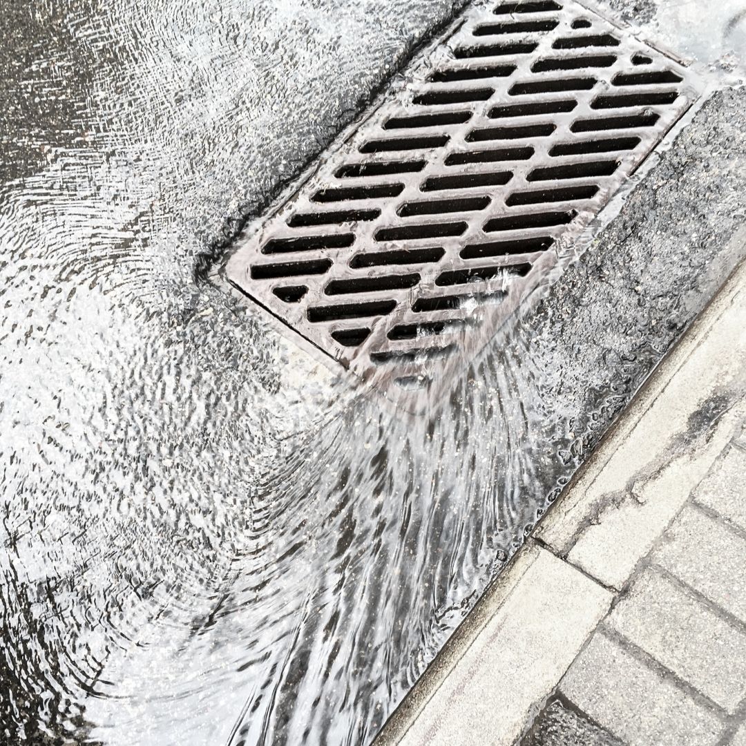 sewer drain