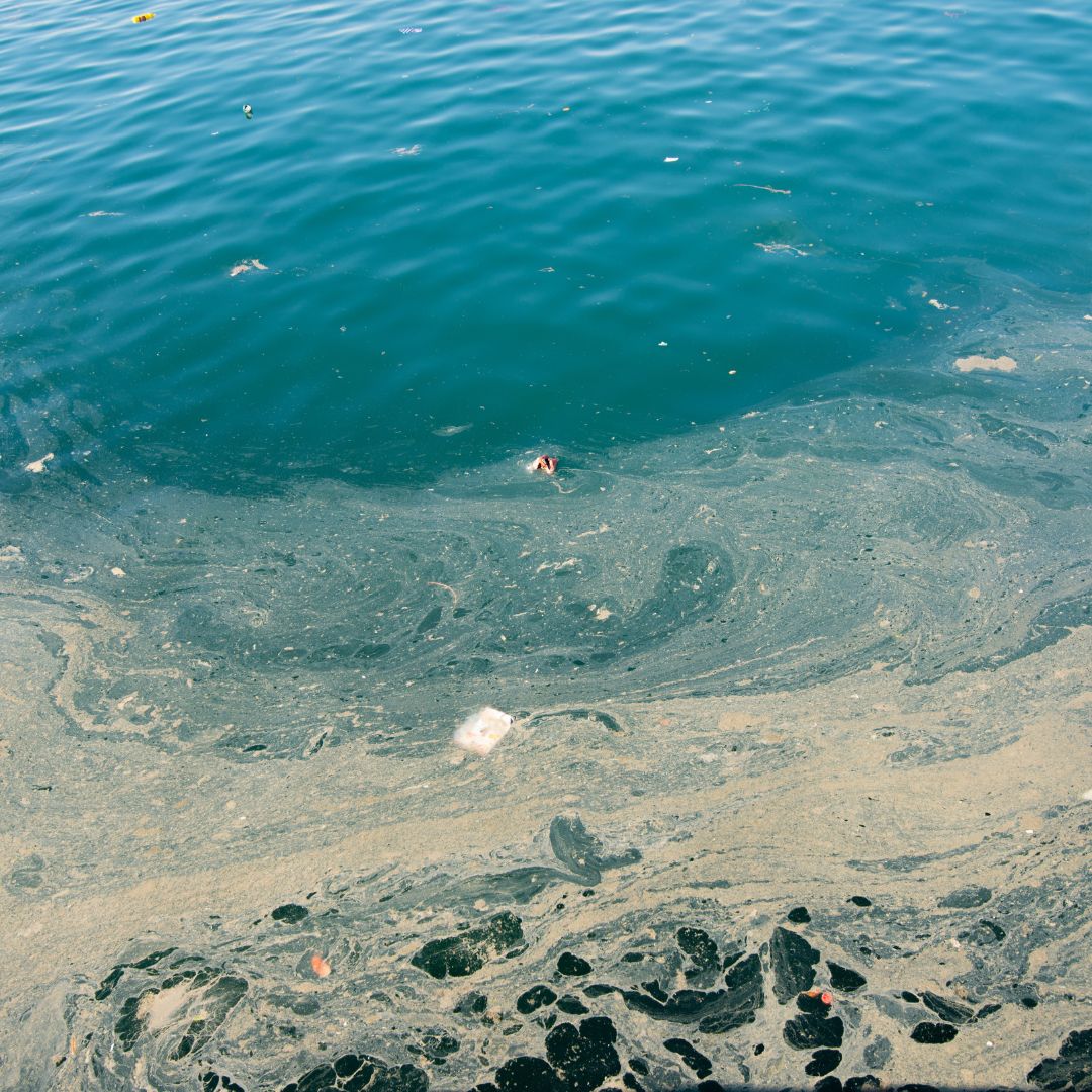 water with film built up over the surface